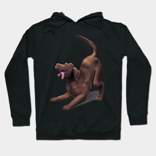 Chocolate Lab - Play Pose Hoodie